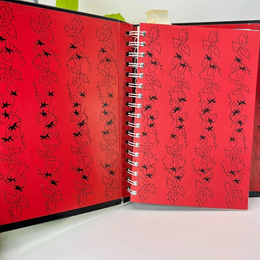 The Stenciled Strawberry Cookbook Vintage Junior League Albany NY Spiral Bound